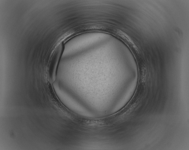 X0000116600786200912241713