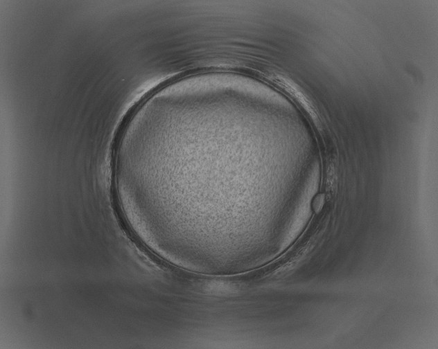 X0000116600787200912241713
