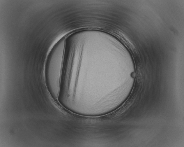 X0000116600788200912241713