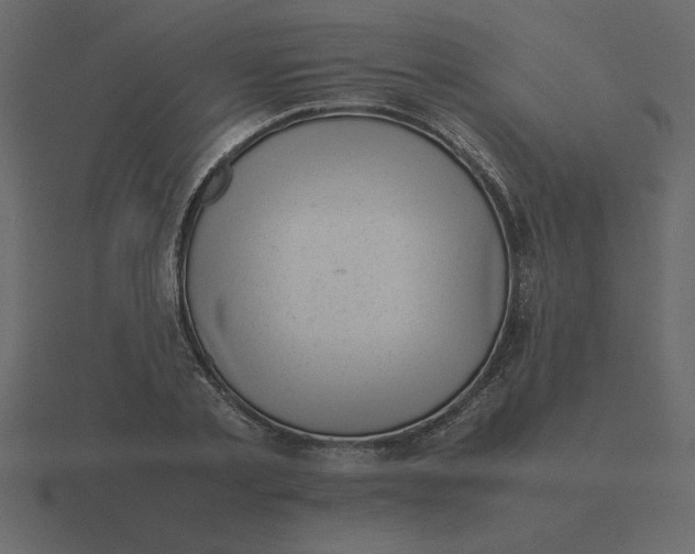 X0000116600789200912241713