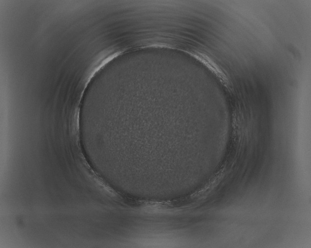 X0000116600790200912241713