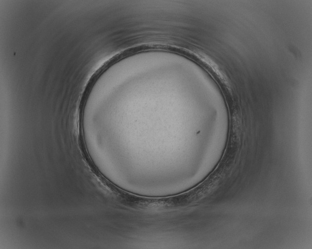 X0000116600791200912241713