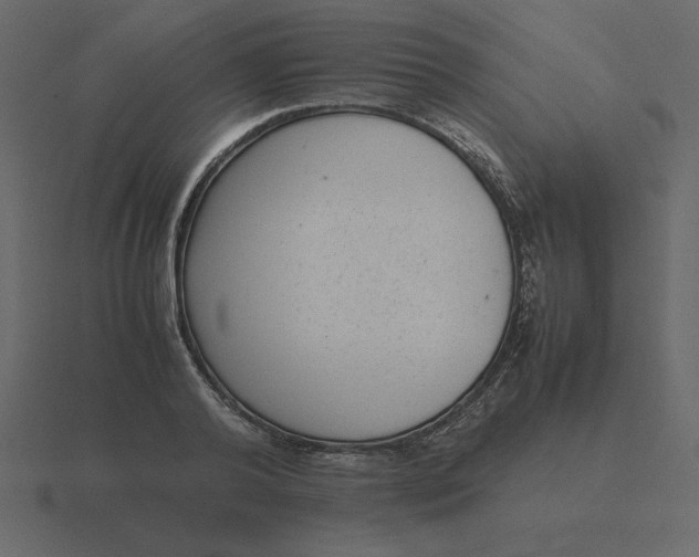 X0000116600792200912241713