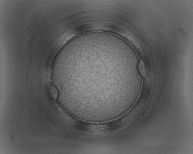 X0000116600793200912241713
