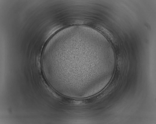 X0000116600794200912241712