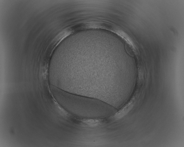 X0000116600801200912241712