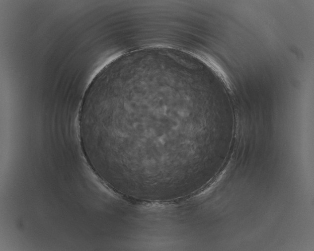 X0000116600806200912241712