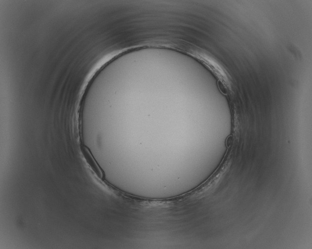 X0000116600808200912241712