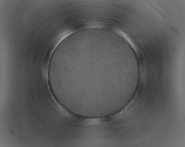 X0000116600810200912241712