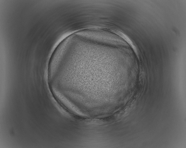 X0000116600811200912241712
