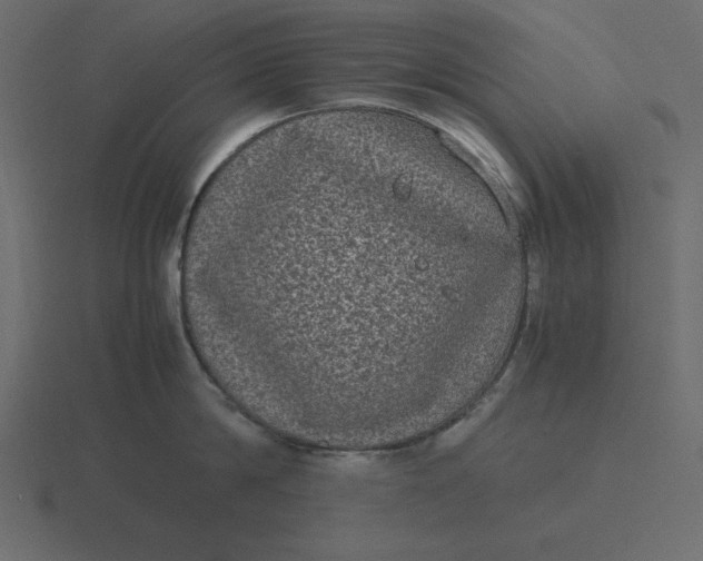 X0000116600814200912241712