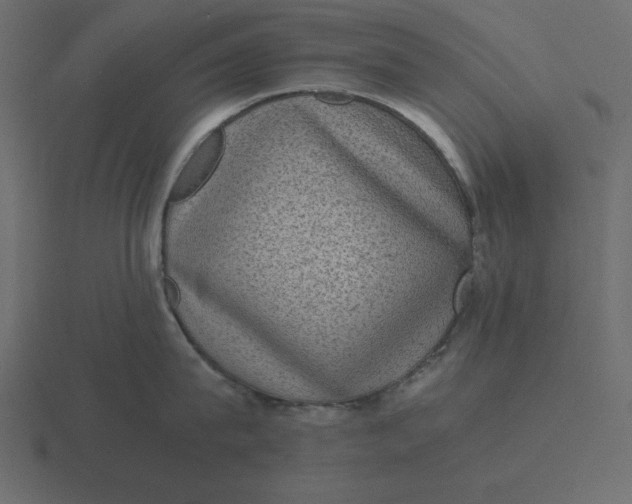 X0000116600815200912241712