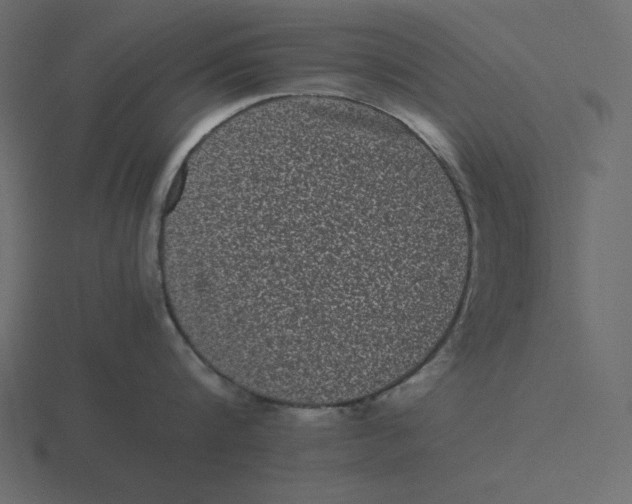 X0000116600816200912241712