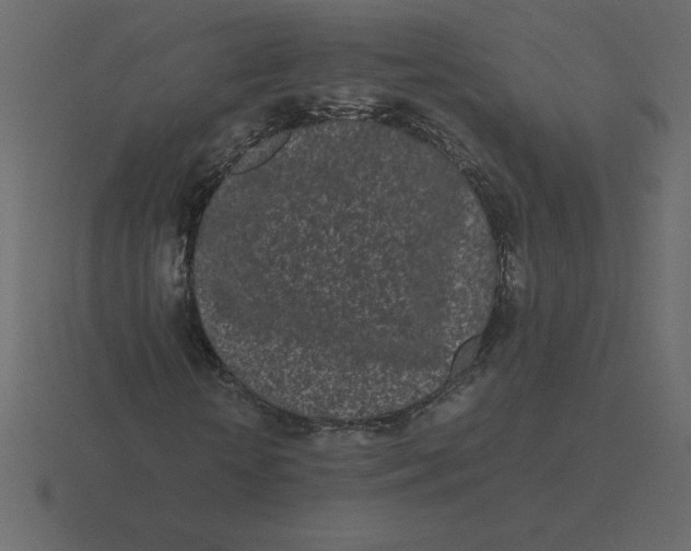 X0000116600818200912241712