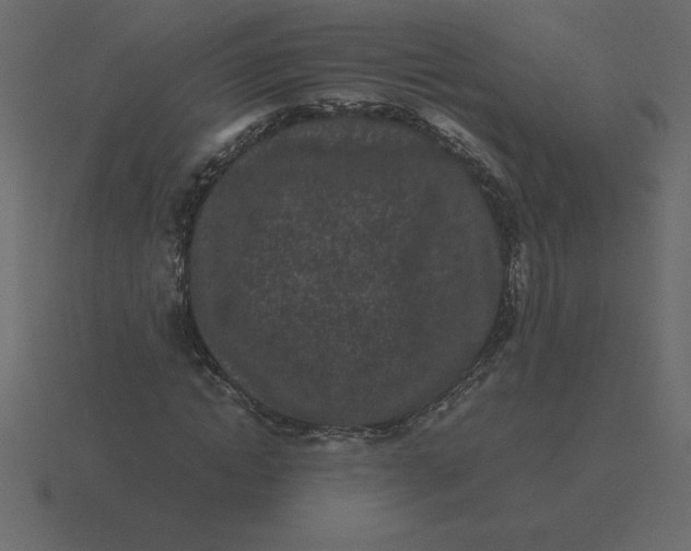 X0000116600822200912241712