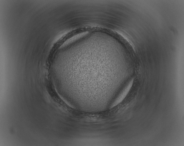 X0000116600823200912241712