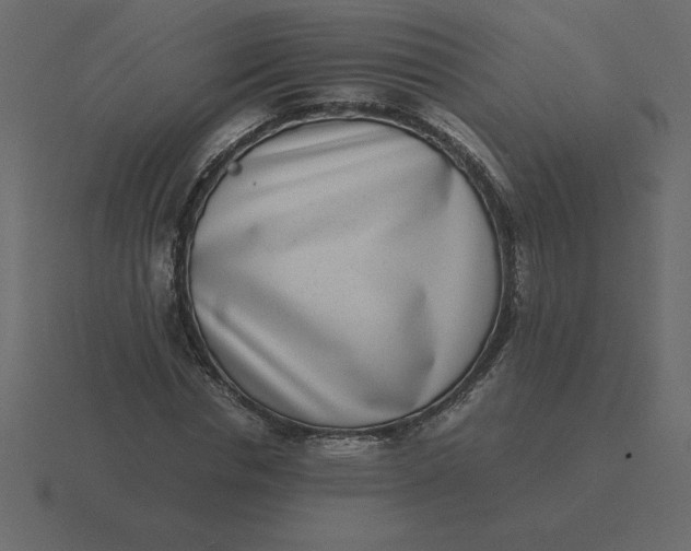 X0000116600826200912241712