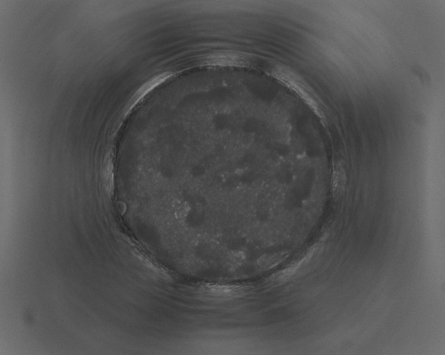 X0000116600829200912241712