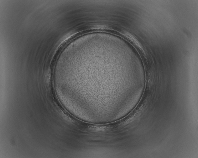 X0000116600831200912241712