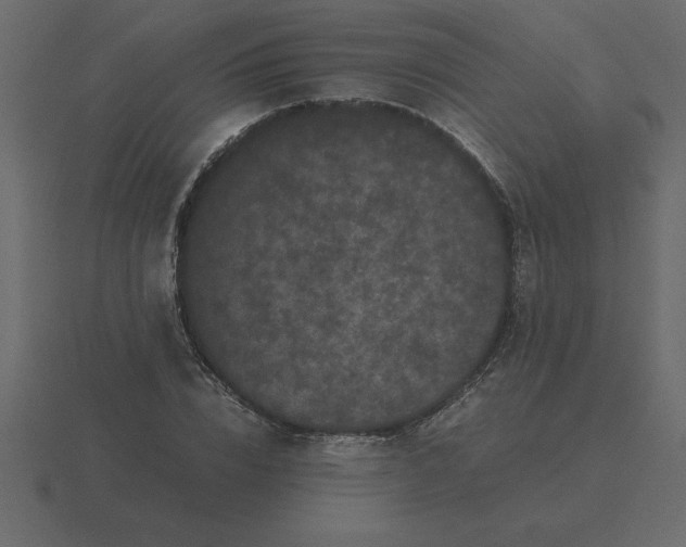X0000116600832200912241712