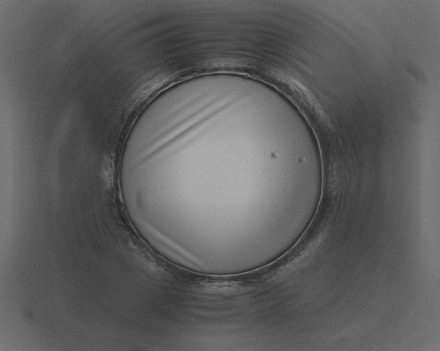 X0000116600833200912241712