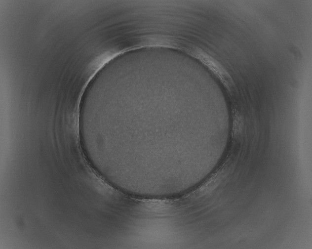 X0000116600836200912241712