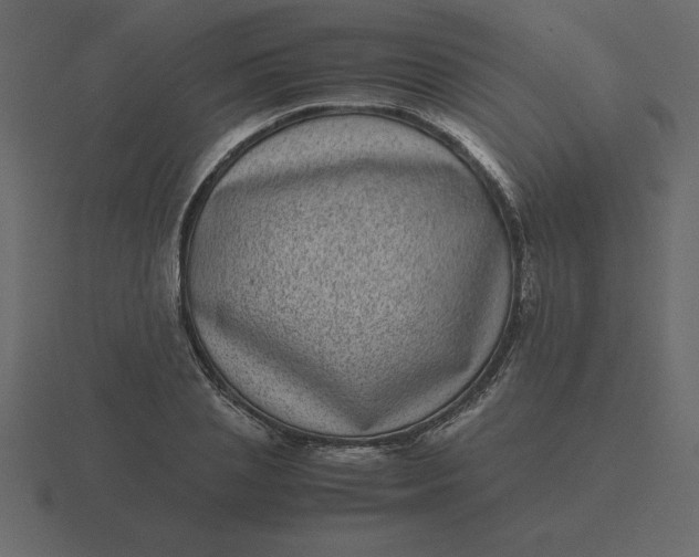 X0000116600837200912241712