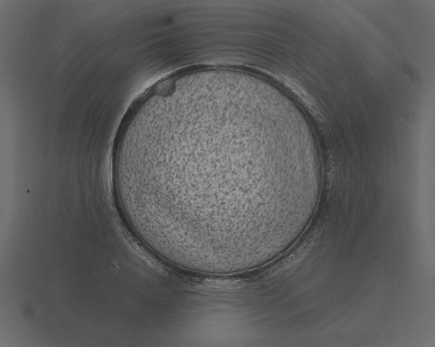 X0000116600840200912241712