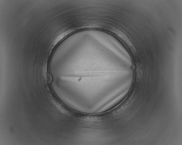 X0000116600842200912241712