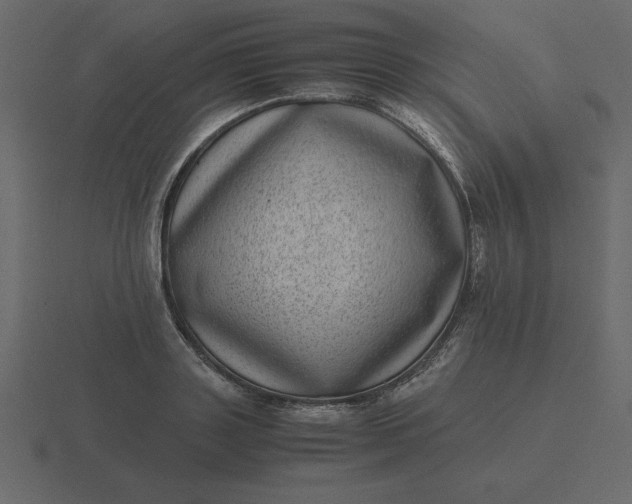 X0000116600843200912241712