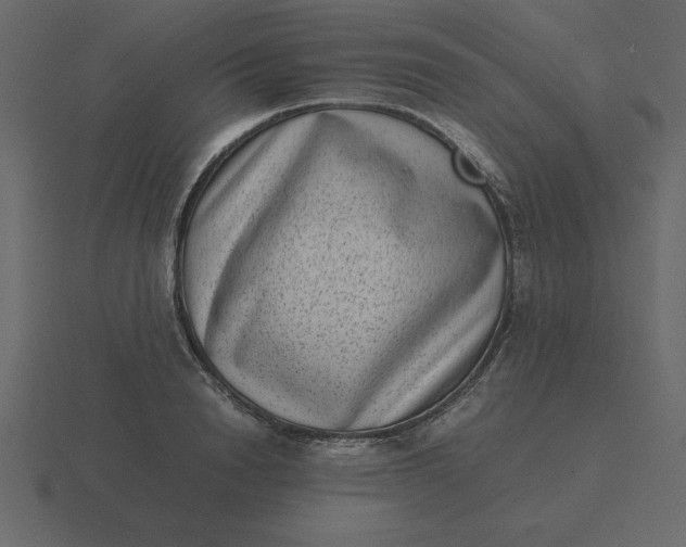X0000116600846200912241712