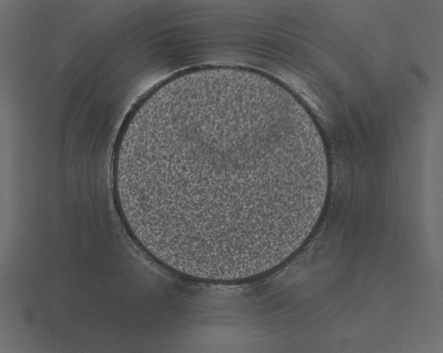 X0000116600848200912241712