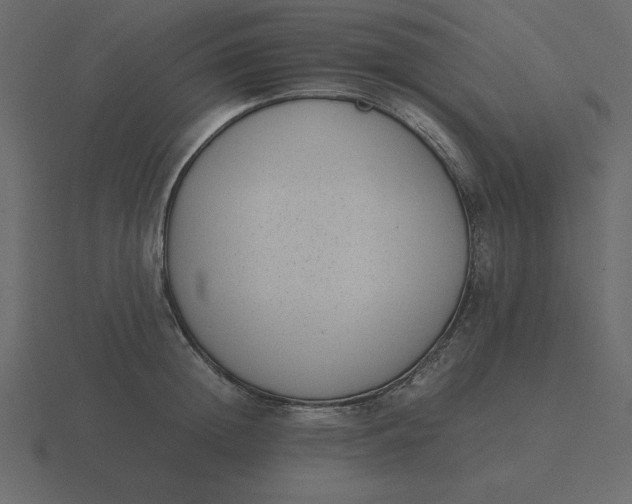 X0000116600852200912241712
