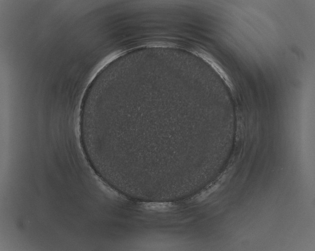 X0000116600853200912241712