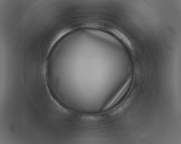 X0000116600855200912241712