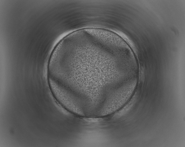 X0000116600862200912241712