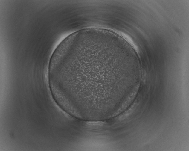 X0000116600863200912241712