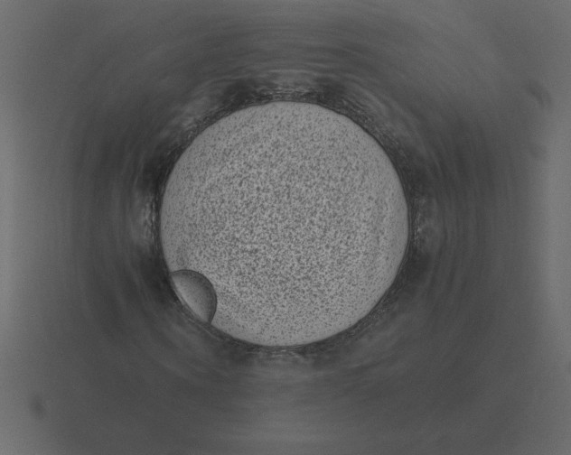 X0000116600866200912241712