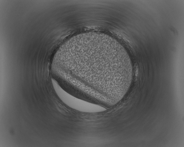 X0000116600868200912241712