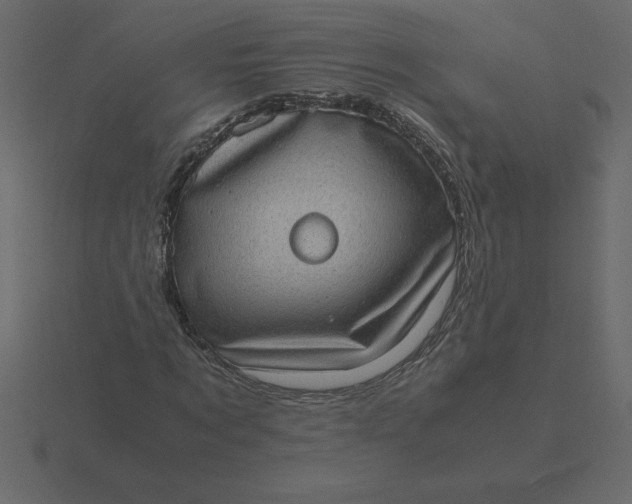 X0000116600869200912241712