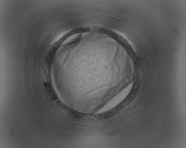 X0000116600871200912241712