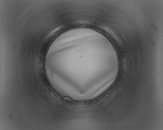 X0000116600872200912241712