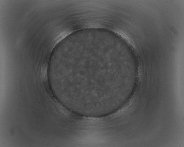 X0000116600873200912241712