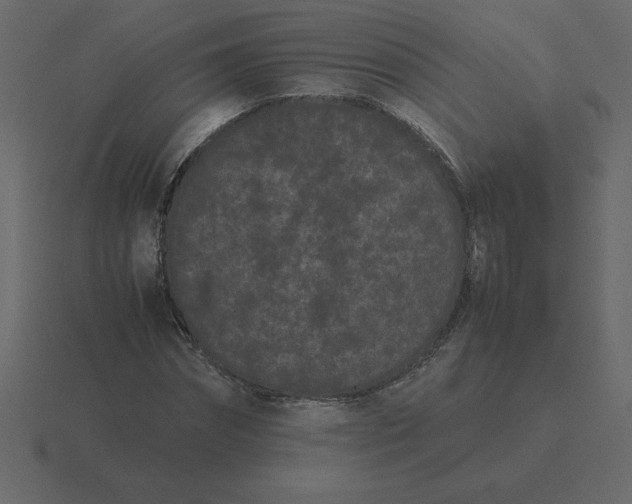 X0000116600874200912241711