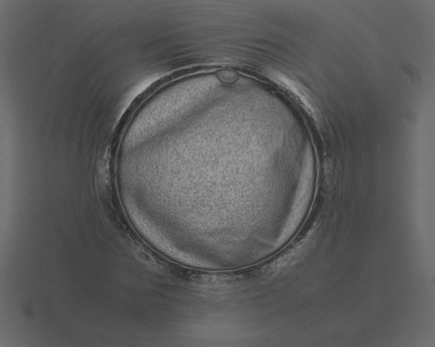 X0000116600875200912241711