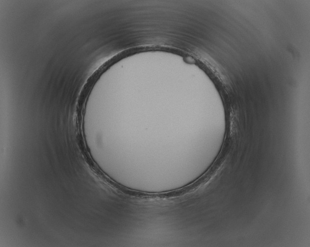 X0000116600876200912241711