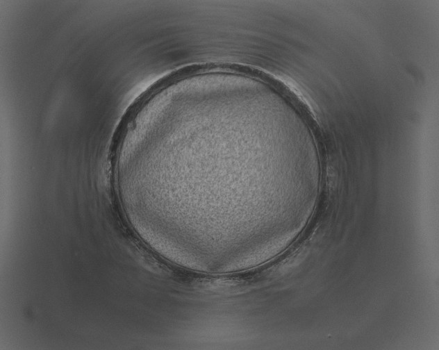 X0000116600879200912241711