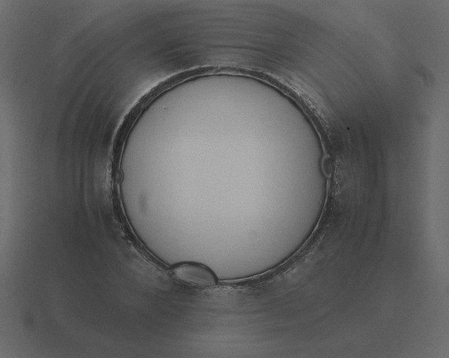 X0000116600880200912241711