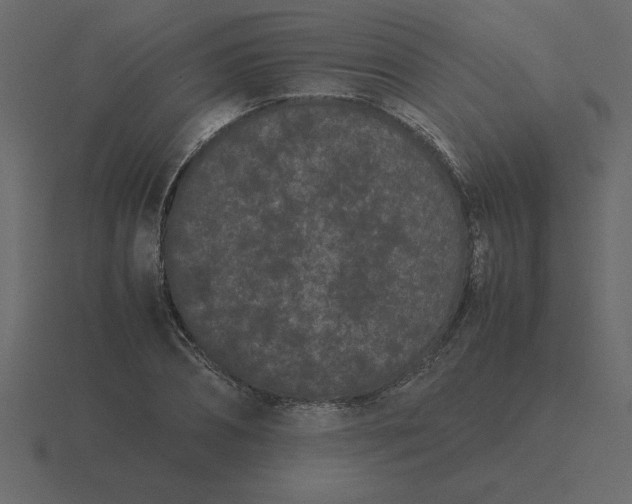 X0000116600882200912241711