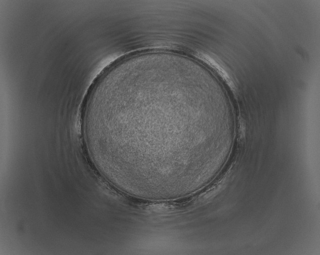 X0000116600883200912241711